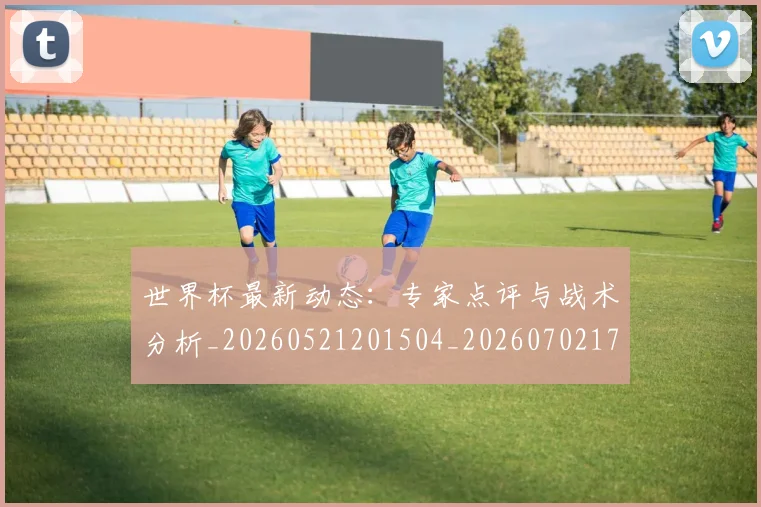 世界杯最新动态:专家点评与战术分析_20260521201504_20260702173908