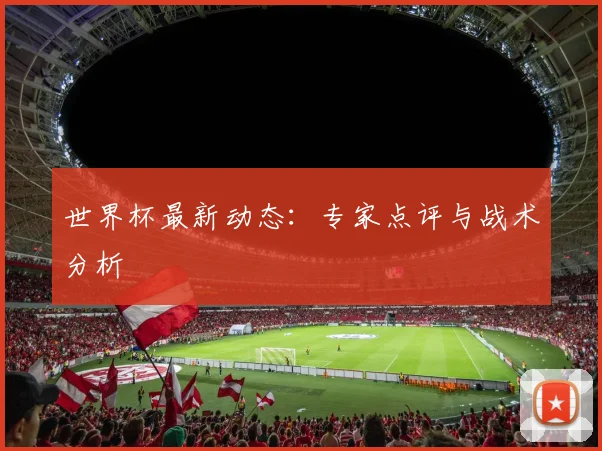 世界杯最新动态:专家点评与战术分析