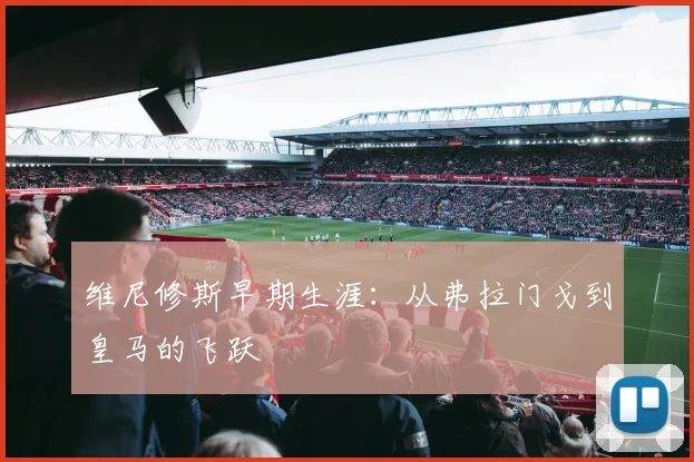 维尼修斯早期生涯:从弗拉门戈到皇马的飞跃